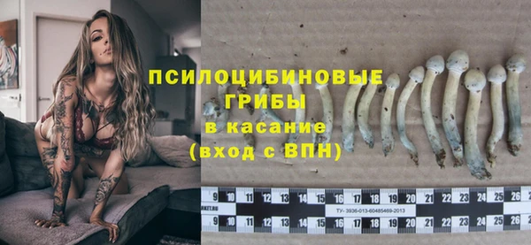 герыч Протвино