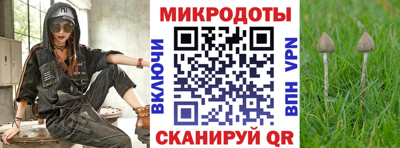 Псилоцибиновые грибы мухоморы  Бологое 